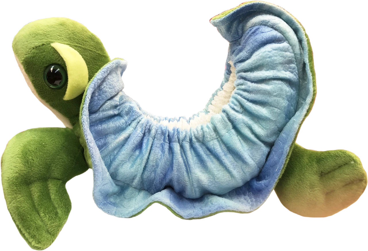 Ice Skating Soakers By Chloe Noel - Turtle 1 Ice Skating Soakers By Chloe Noel - Turtle